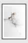 Preview: APRIL NOTES framed Fine Art Print with delicate ink drawings and translucent watercolour washes, black frame and white mount.