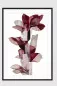 Preview: CHERRY BLOOM – Gerahmter Fine Art Print