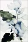 Preview: Flora Study III