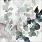 Preview: Flora Study VI