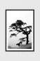 Preview: Big Bonsai - Huan Shan II | Gerahmter Fine Art Print
