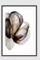Preview: ORGANIC WHISPERS II – Framed Fine Art Print