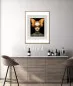 Preview: MAISON PAPILLON IV - Gerahmter Fine Art Print