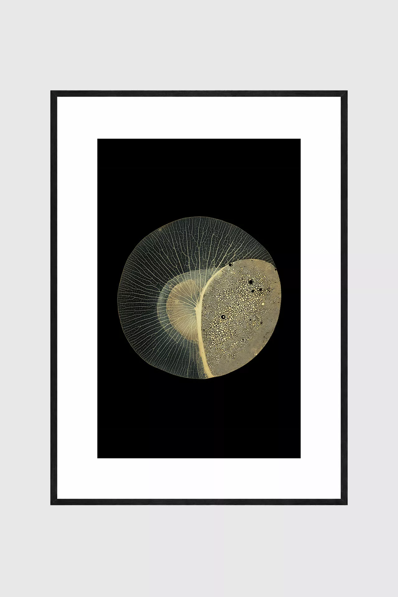 ELYRA – Gerahmter Fine Art Print