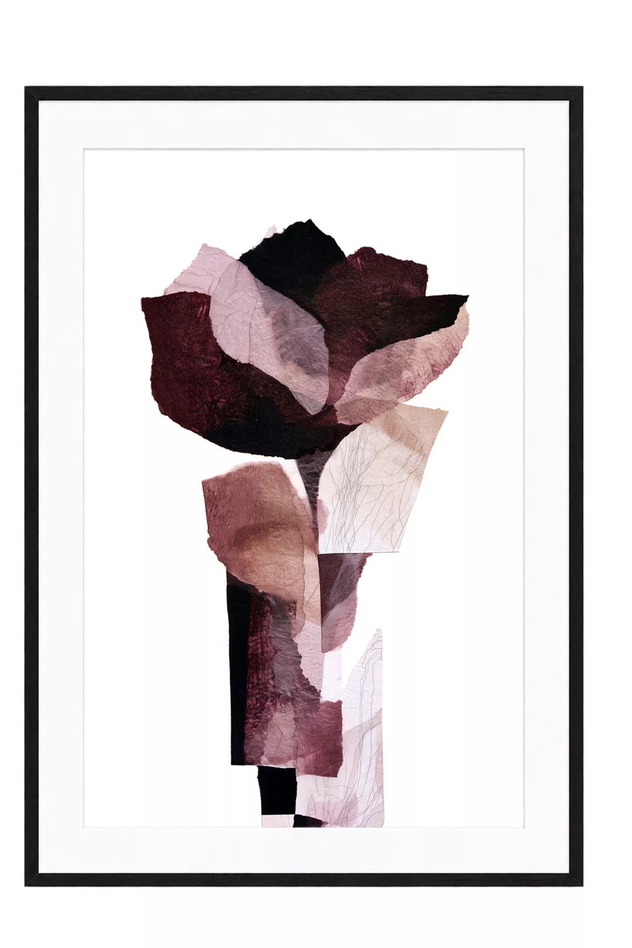 ROSE STAR – GERAHMTER FINE ART PRINT