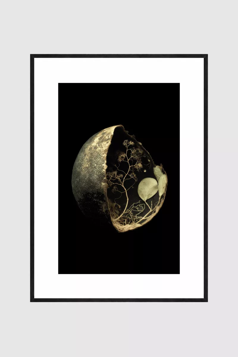 AUREON – Gerahmter Fine Art Print