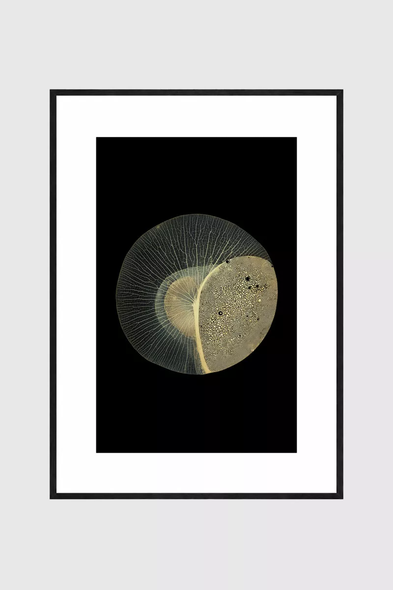 ELYRA – Gerahmter Fine Art Print