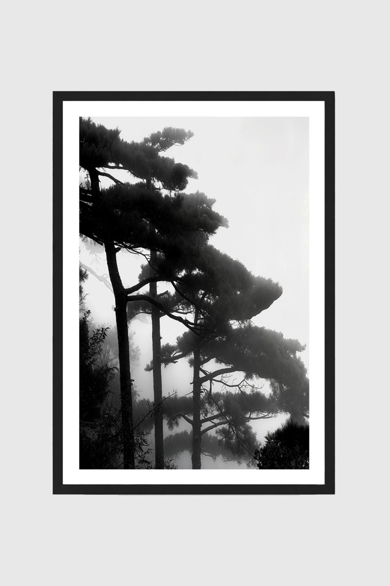 Huan Shan III | Framed Fine Art Print