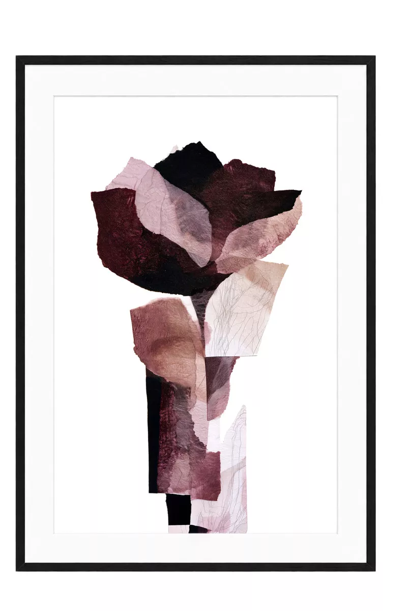 ROSE STAR – GERAHMTER FINE ART PRINT